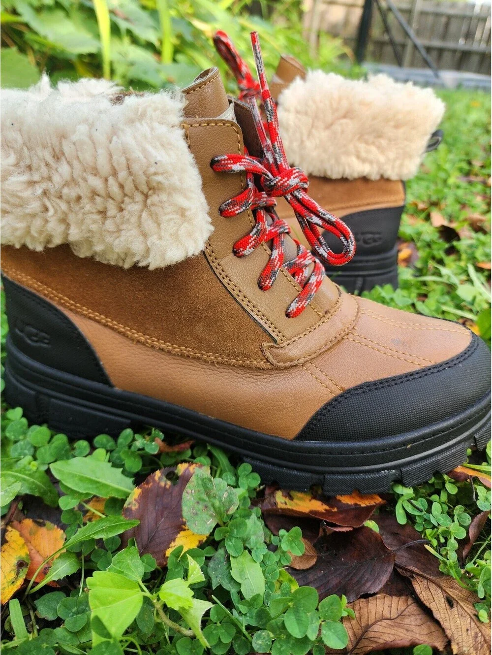 Size 6 - UGG Ashton Addie Lace-Up Ankle Boot